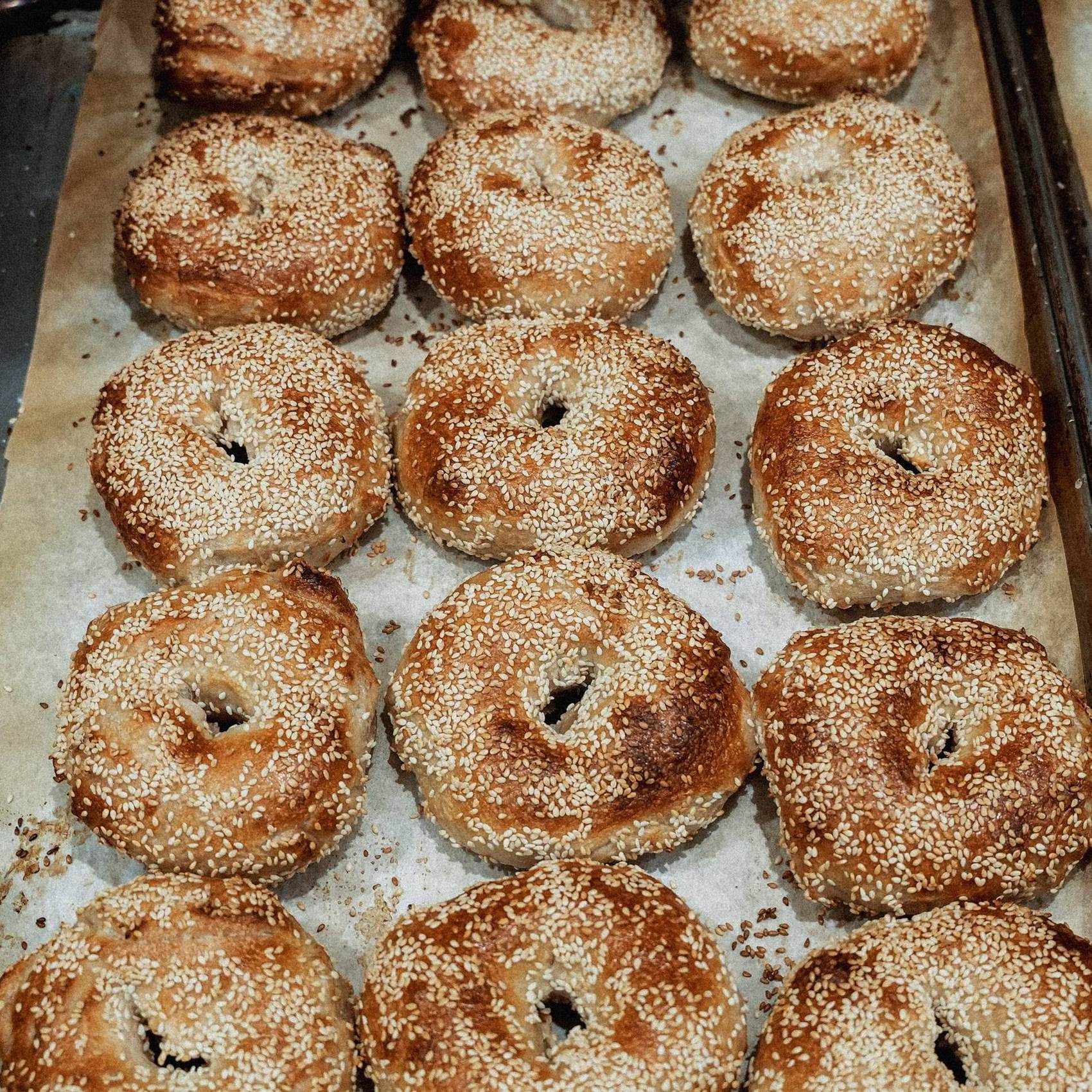 A tray of fresh-baked sesame bagels straight from the oven