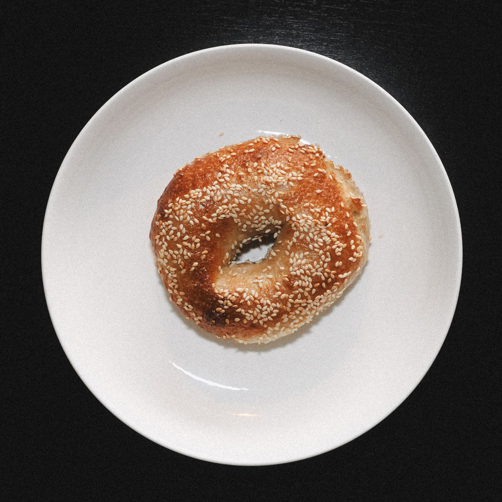 A single sesame bagel on a white plate